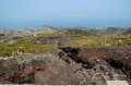 DSC_0710.JPG