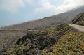 DSC_0713.JPG