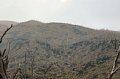 DSC_0722.JPG
