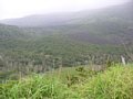 05071508_P1000558.JPG